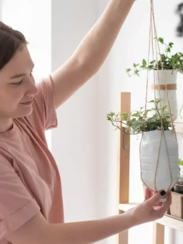 decoracao-1-1140x570