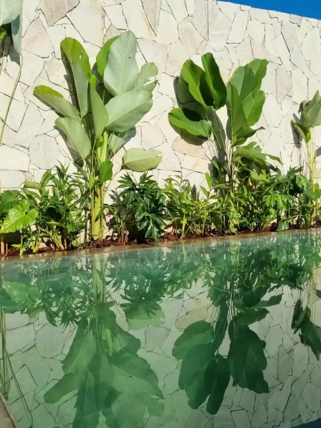 plantas-piscina-1