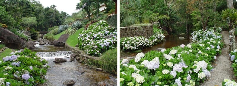 cuidar de plantas no frio 2 Aprenda como cuidar das plantas no Inverno e descubra quais espécies florescem na estação