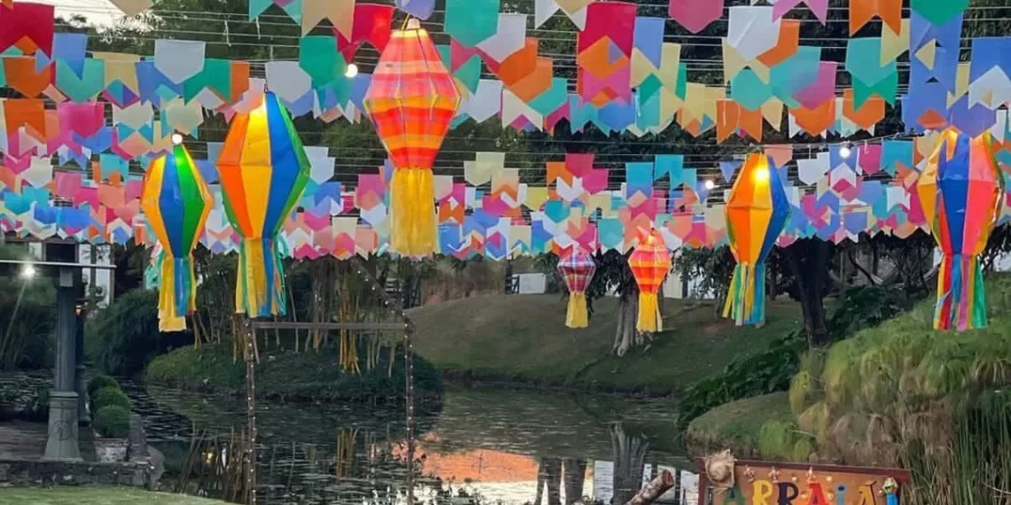 6 Ideias de Decoração de Festa Junina em Casa para Transformar seu Arraial