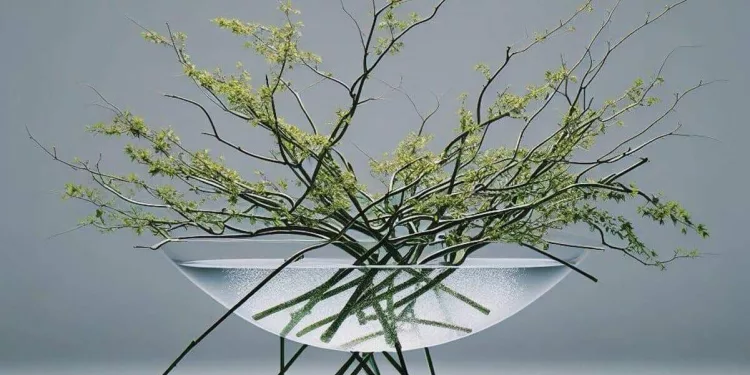 ikebana capa Ikebana: A arte de arranjo floral japonês que traz equilíbrio e beleza para a decoração