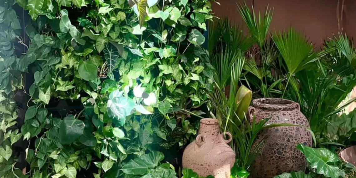 Iluminação Fotossintética: Uma solução para o cultivo de plantas em ambientes internos