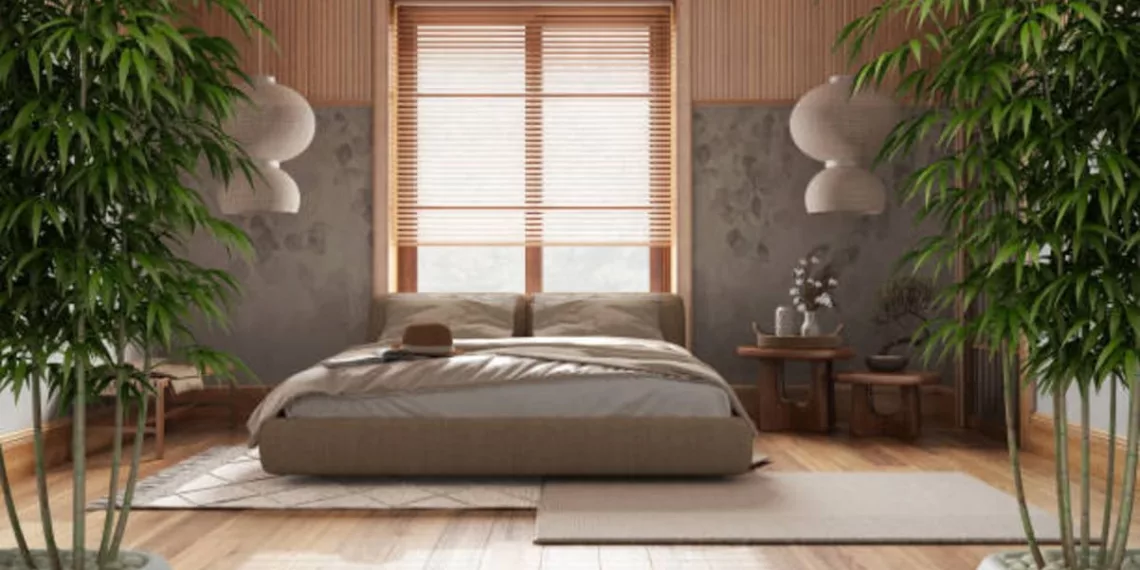 FENG SHUI DE INVERNO: CONFIRA QUATRO DICAS PARA PREPARAR A CASA
