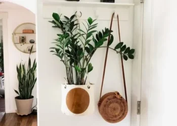 cropped-zamioculca-na-decoracao-plantas-ambientes-internos.webp