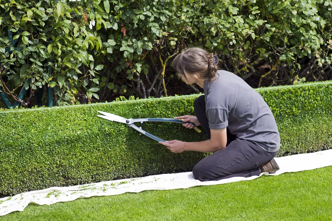 Como preparar o jardim para os meses frios?