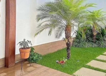 jardim em casa