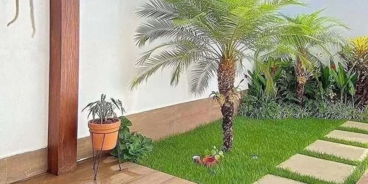 jardim em casa