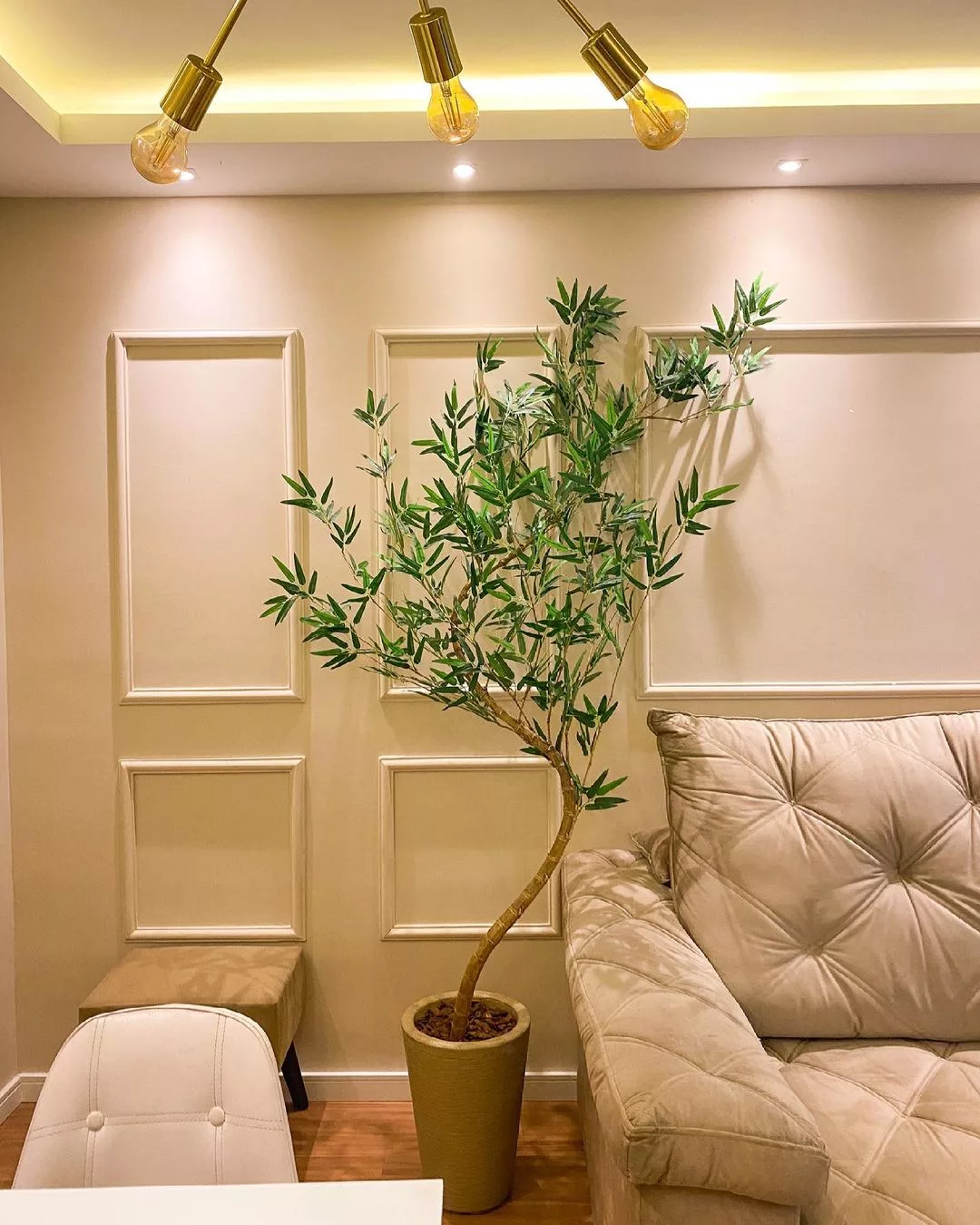 8 Plantas Grandes para Decorar a Sala de Estar e Transformar o Ambiente