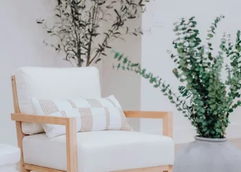 plantas grandes para sala