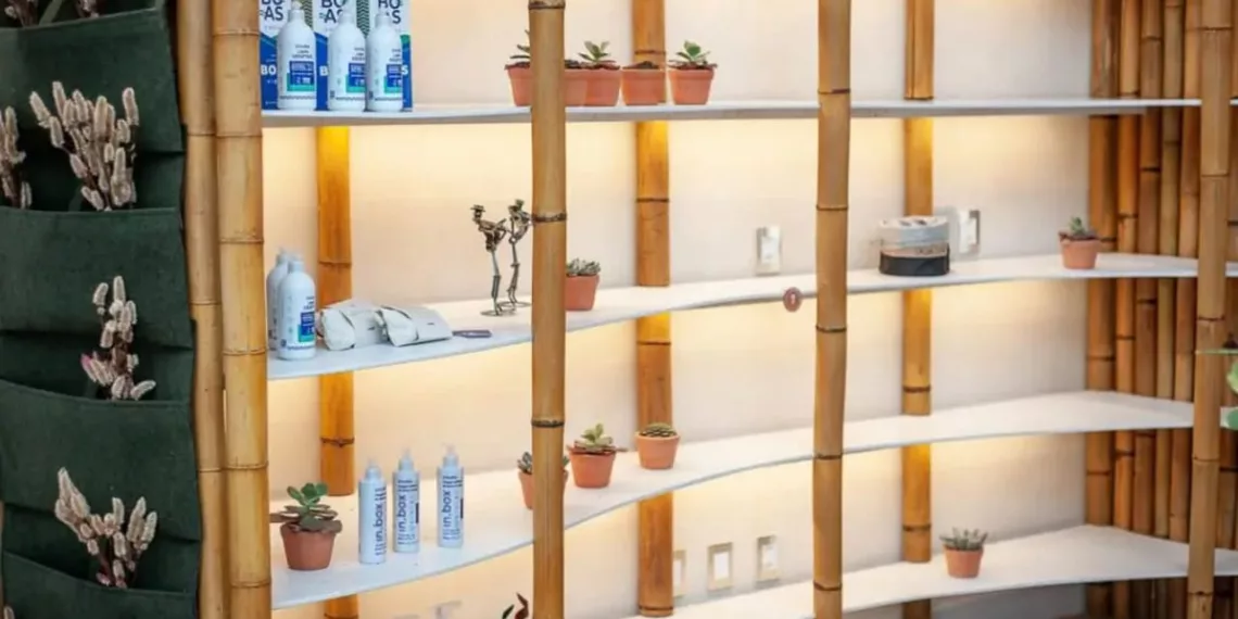 Galeria Panaceia: uma opção sustentável em meio às mudanças climáticas