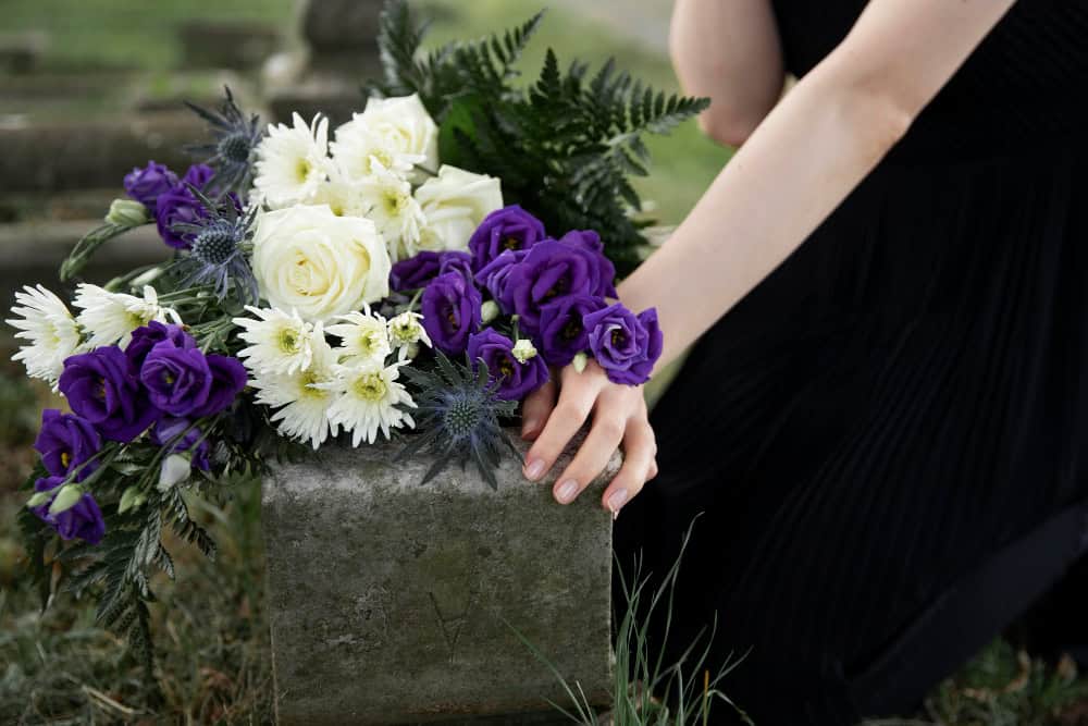 finados crisantemo O Significado das Flores no Dia de Finados: Homenagens de Amor e Respeito