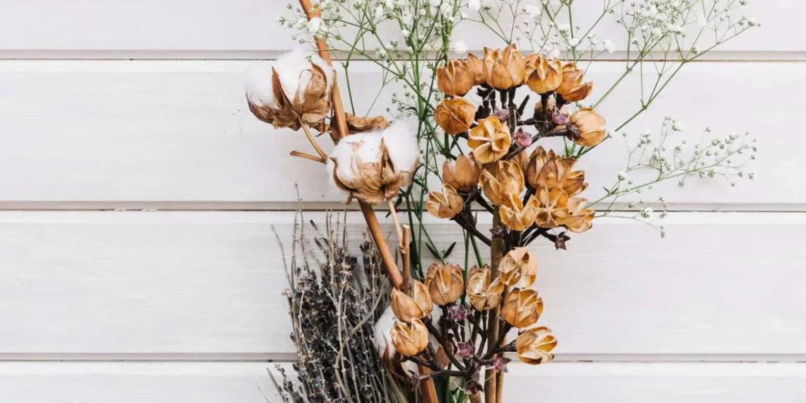 Flores secas para decoração: charme e durabilidade para seu ambiente