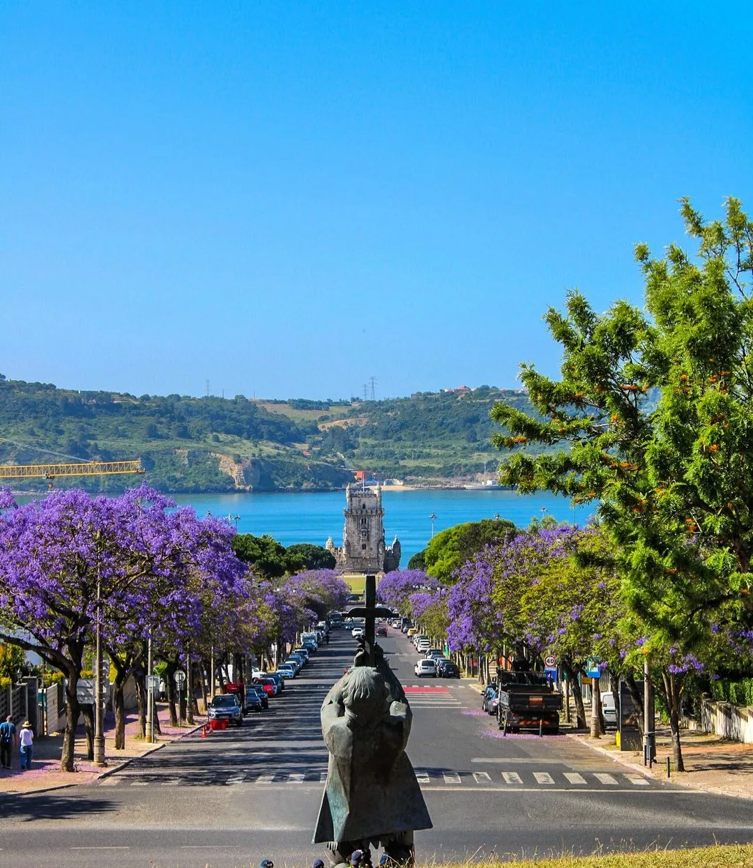 jacaranda 3 jpg Jacarandá: A Beleza Imponente de uma Árvore Ornamental e Valiosa