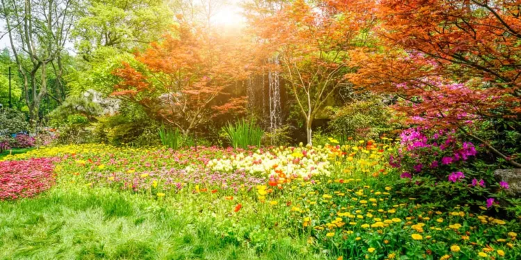 jardim contraste 1 4 plantas para dar contraste no jardim e chamar atenção.