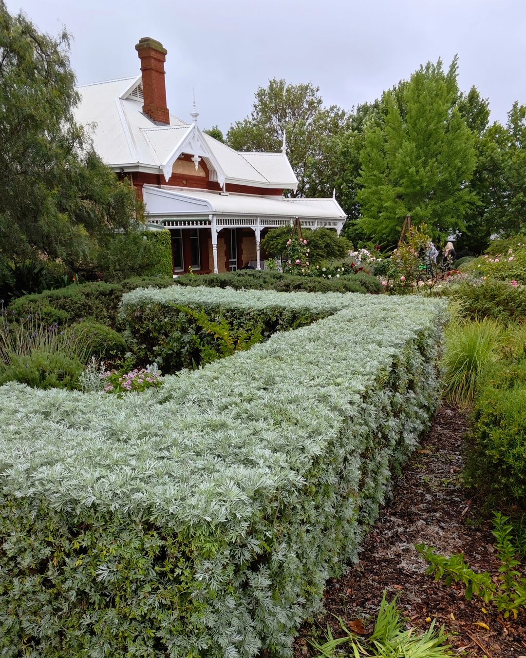 jardim contraste 3 4 plantas para dar contraste no jardim e chamar atenção.