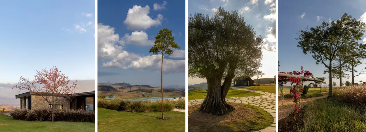 rancho montanha 4 O Incrível Projeto Paisagístico do Rancho da Montanha na Serra do Rio de Janeiro