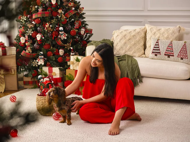 camicado 3 jpg Camicado revela campanha de Natal "Celebre cada detalhe" e aposta na magia das conexões afetivas