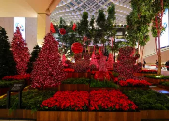 iguatemi 1 IGUATEMI SÃO PAULO APRESENTA AÇÕES ESPECIAIS DE NATAL