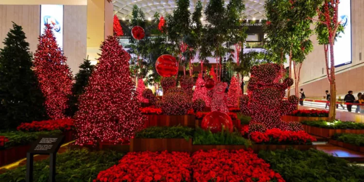 iguatemi 1 IGUATEMI SÃO PAULO APRESENTA AÇÕES ESPECIAIS DE NATAL