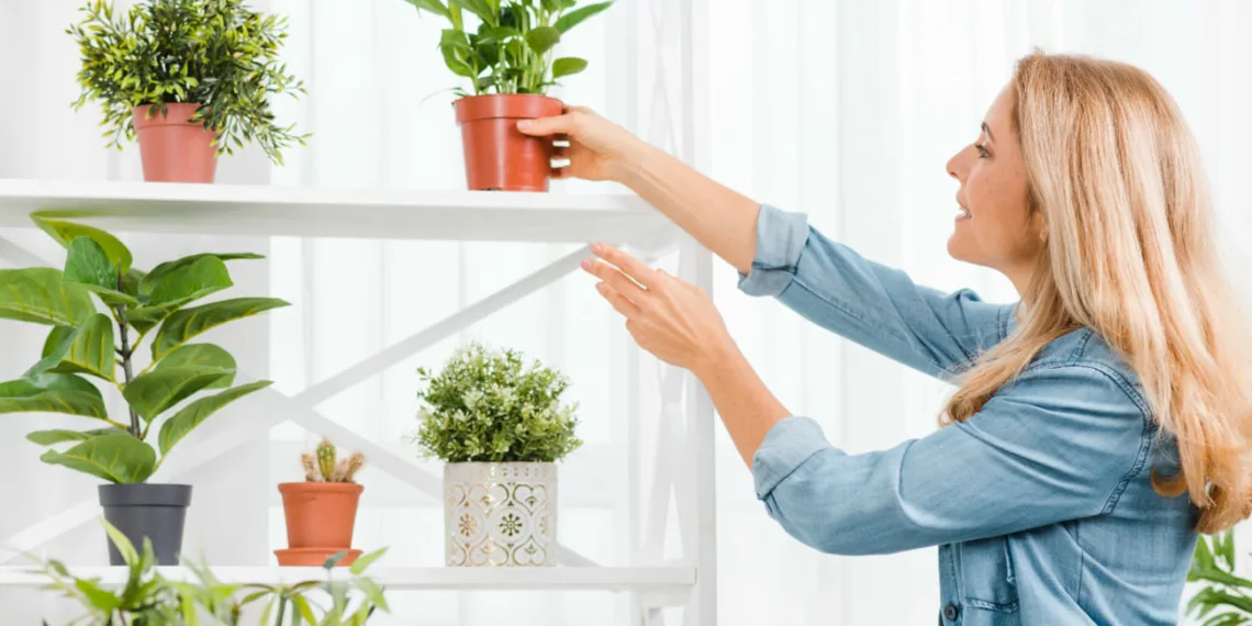 Transforme sua Casa com Plantas de Verão: Beleza e Frescor para Ambientes Internos