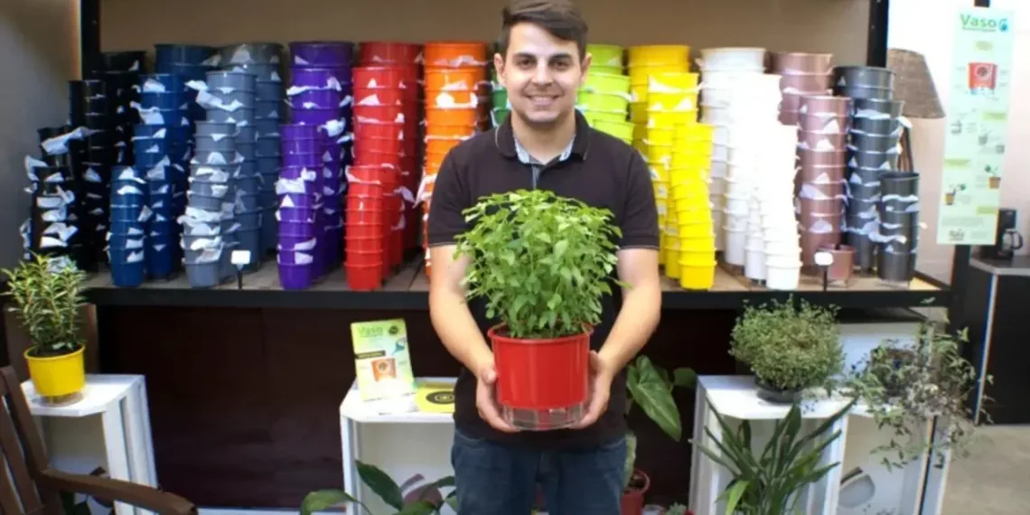 Empreendedores revolucionam o mercado com vasos autoirrigáveis e sustentáveis