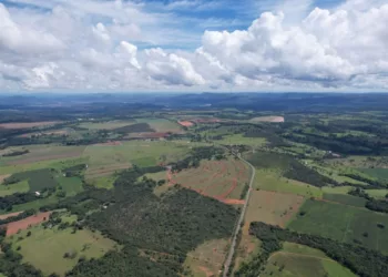Crédito: Divulgação/Fazenda da Matta