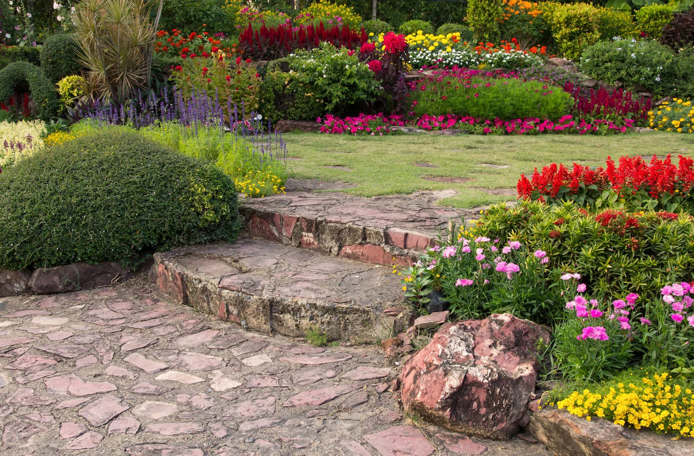 jardim bonito com várias flores coloridas