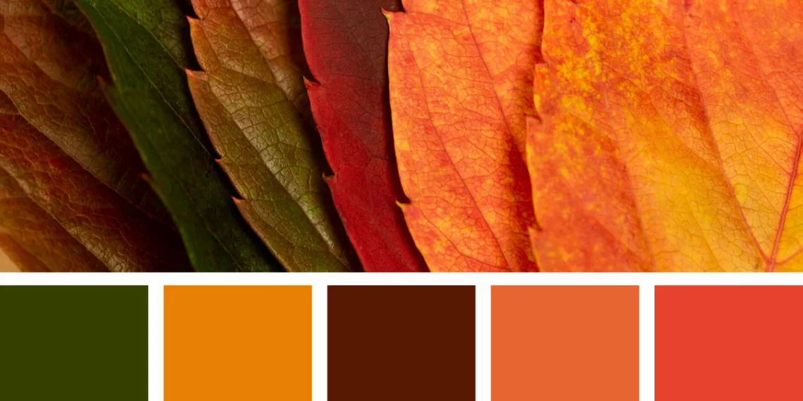 cores quentes na decoração dos ambientes