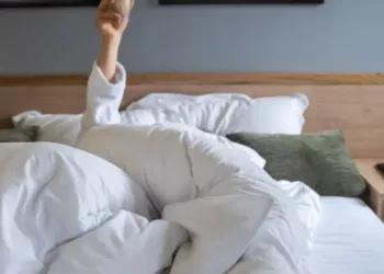 cropped-cama-ideal-2.webp