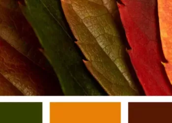 cores quentes na decoração dos ambientes
