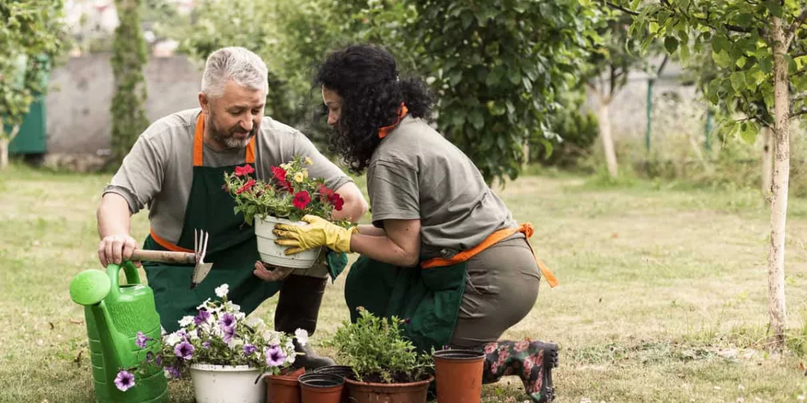 cuidados com o jardim