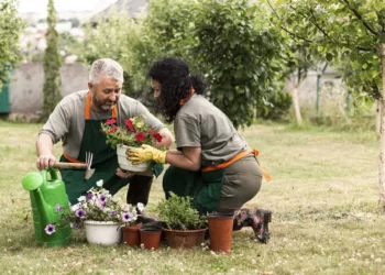 cuidados com o jardim