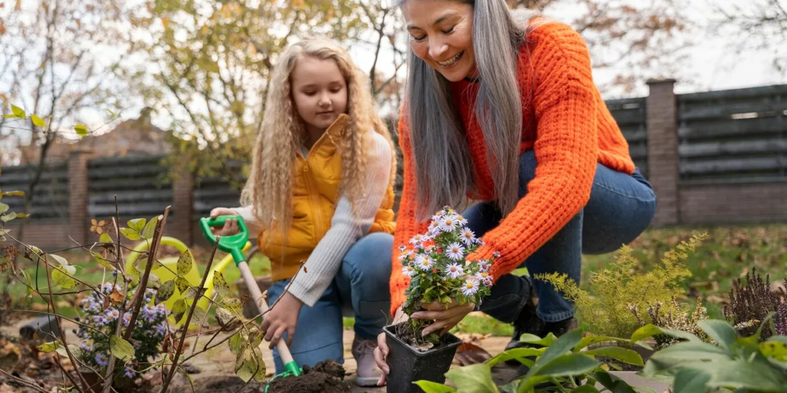 Chuva demais no jardim: como prevenir pragas e doenças sem intoxicar animais