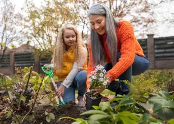 Chuva demais no jardim: como prevenir pragas e doenças sem intoxicar animais