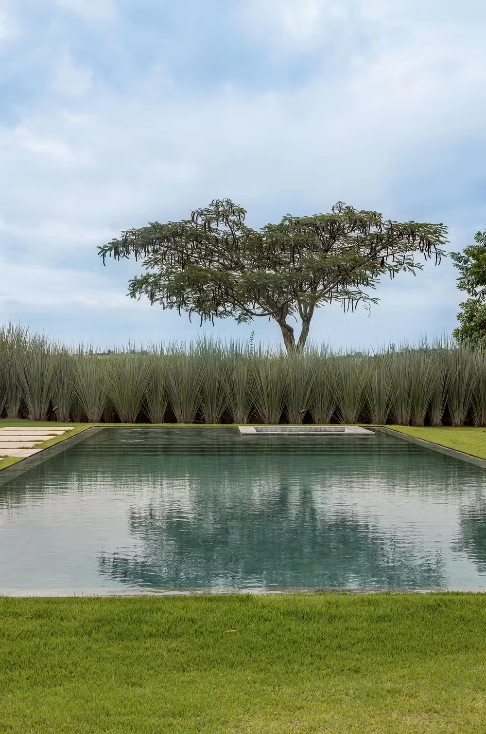 Fazenda Saltador (@fazendasaltador) • Instagram photos and videos, image size:1000x1508