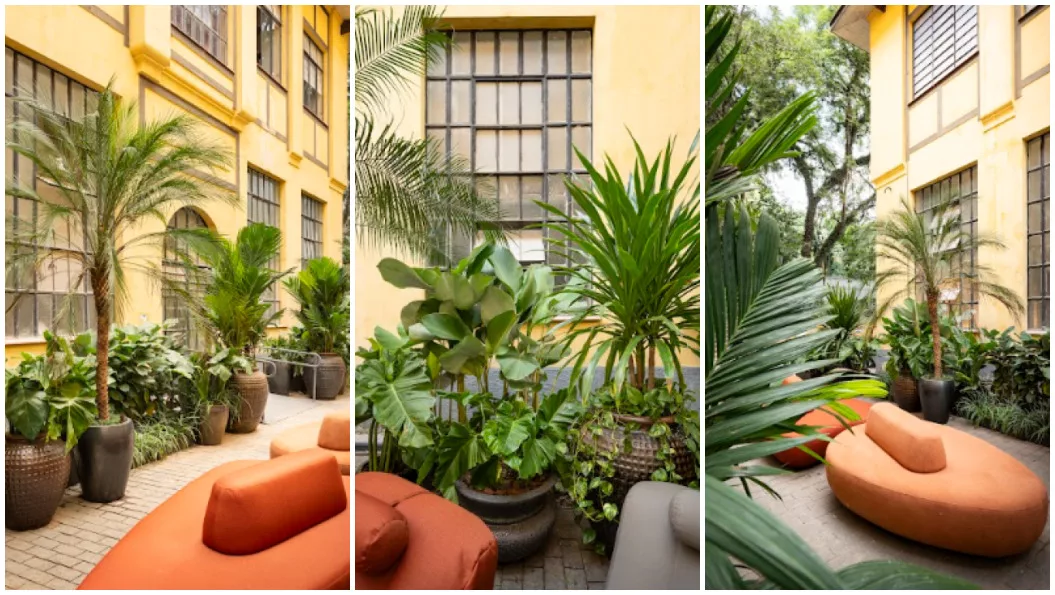 Jardim da Alameda propõe um respiro verde no coração de São Paulo