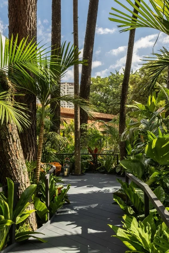 Helena Elias harmoniza opostos no Soul Garden, espaço sensorial em sua estreia na CASACOR São Paulo 2025