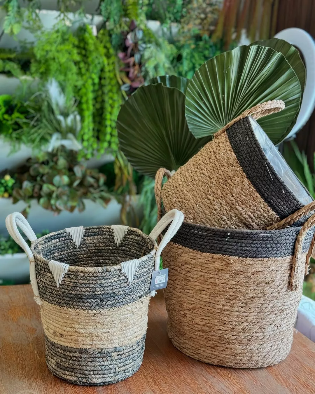 Como usar cachepôs artesanais para valorizar suas plantas dentro de casa