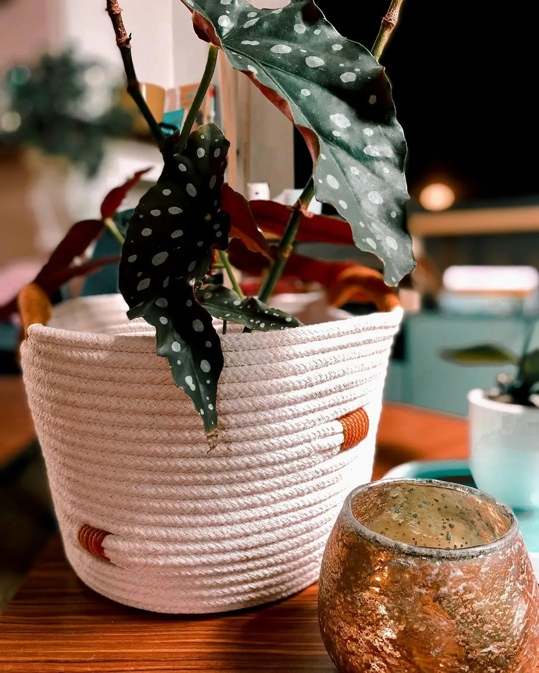 Como usar cachepôs artesanais para valorizar suas plantas dentro de casa