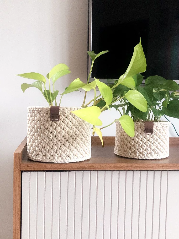 Como usar cachepôs artesanais para valorizar suas plantas dentro de casa