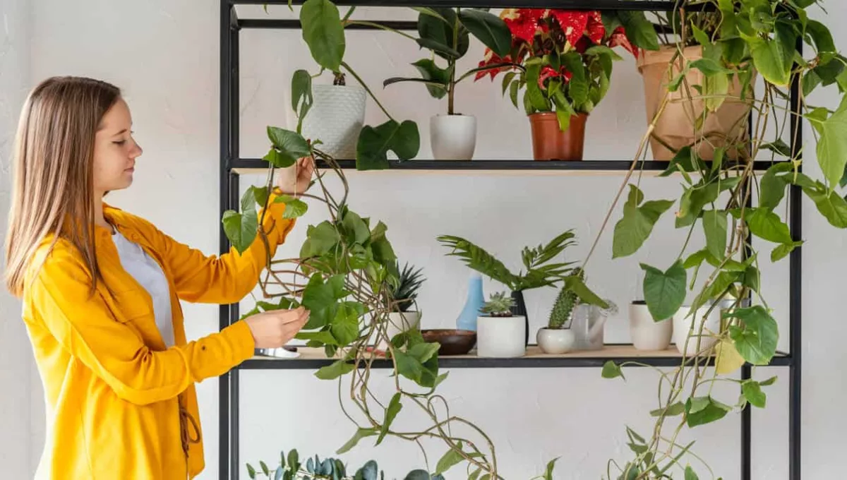 Plantas para jardim vertical em corredor