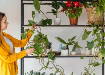 Plantas para jardim vertical em corredor