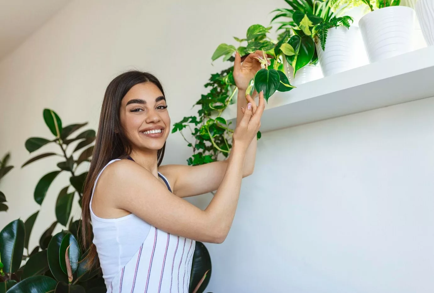 Plantas pendentes que transformam corredores em jardins verticais