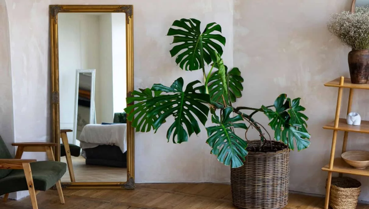 5 erros comuns ao usar espelhos na decoração e como evitá-los