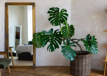 5 erros comuns ao usar espelhos na decoração e como evitá-los
