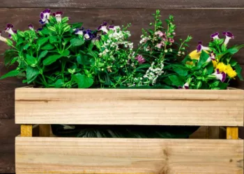 plantas para floreira