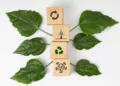 Por que os materiais sustentáveis para casa são o futuro da arquitetura bioclimática