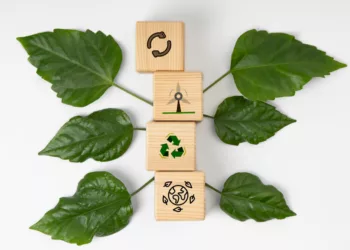 Por que os materiais sustentáveis para casa são o futuro da arquitetura bioclimática