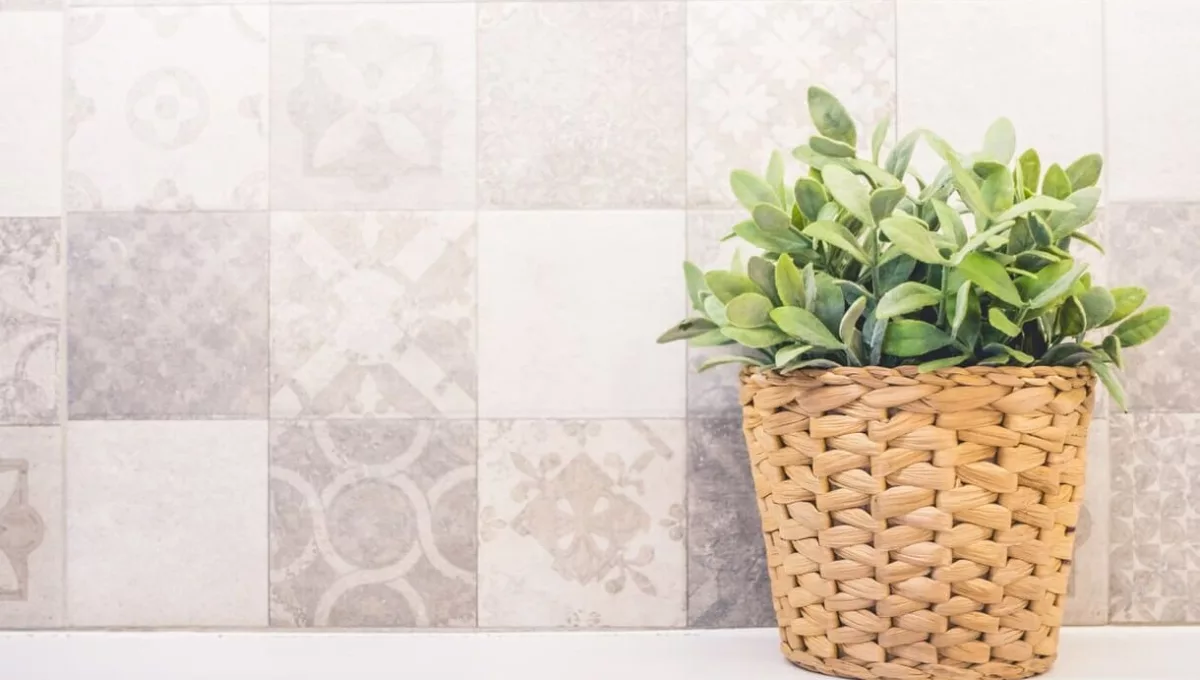 Plantas ideais para decorar a bancada da cozinha