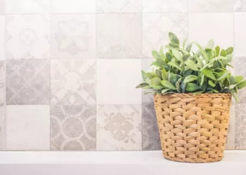 Plantas aromáticas para cultivar na cozinha